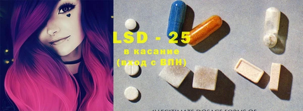индика Гусиноозёрск