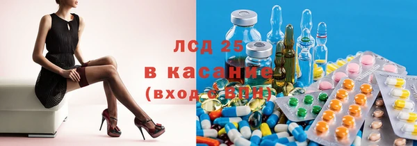 гидра Алексин